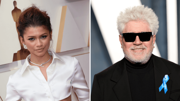 Zendaya y Pedro Almodóvar se encontraron en los Oscar 2022.