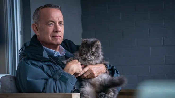 4 películas para ver si AMASTE a Tom Hanks en UN VECINO GRUÑÓN